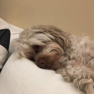 Meet your Posher, Donna